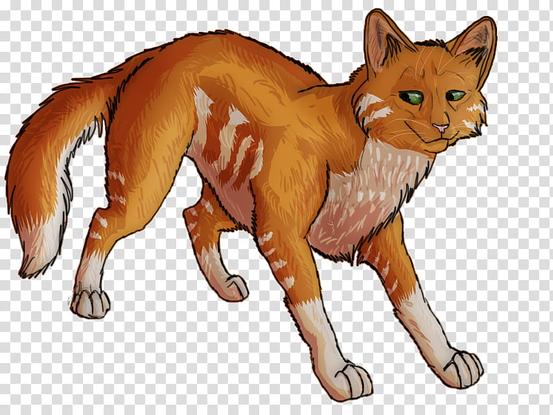 Dog And Cat, Whiskers, RED Fox, Dhole, Wildlife, Animal, Puma, Fox News, Tail transparent background PNG clipart