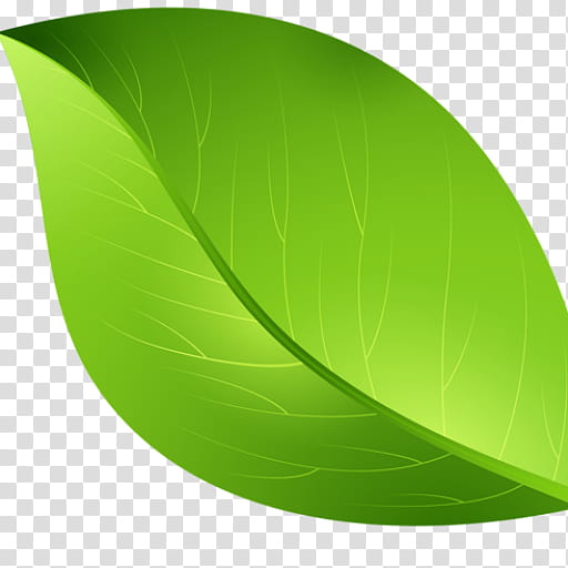 green banana leaf logo Ideas. Inspiration logo design. Template Vector  Illustration. Isolated On White Background Stock Vector Image & Art - Alamy