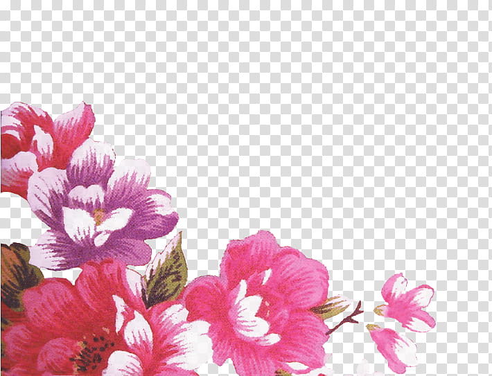 Floral Flower, Azalea, Floral Design, Foundation, Data, Software Widget, Financial Endowment, Psychological Testing transparent background PNG clipart