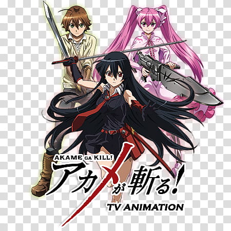 Akame ga Kill Anime Icon, Akame ga Kill v by Darlephise transparent background PNG clipart