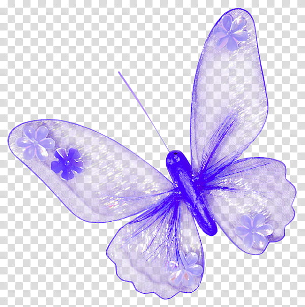 purple butterfly transparent background PNG clipart