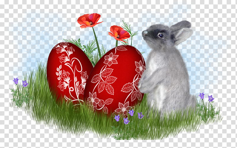 gray and white rabbit painting transparent background PNG clipart