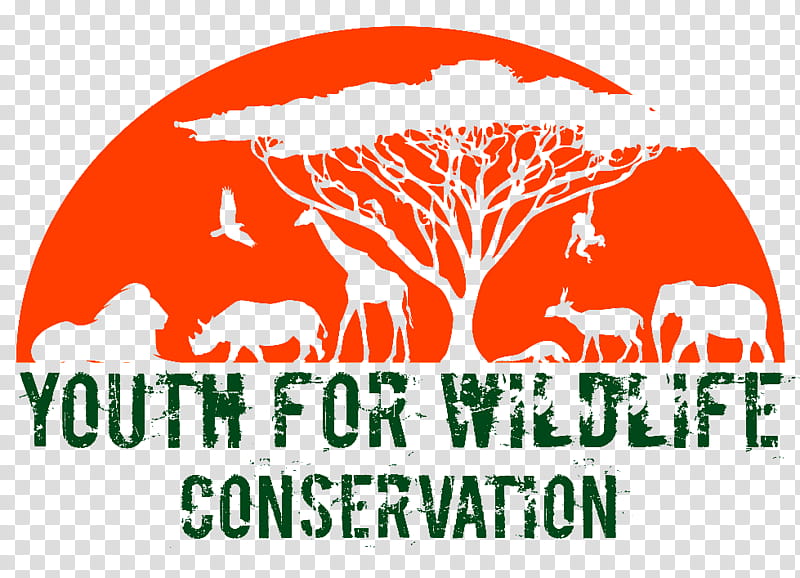 International Youth Day, Wildlife Conservation, World Wildlife Day, World Wide Fund For Nature, Cites, Wildlife Conservation Network, Fauna And Flora International, Endangered Species transparent background PNG clipart
