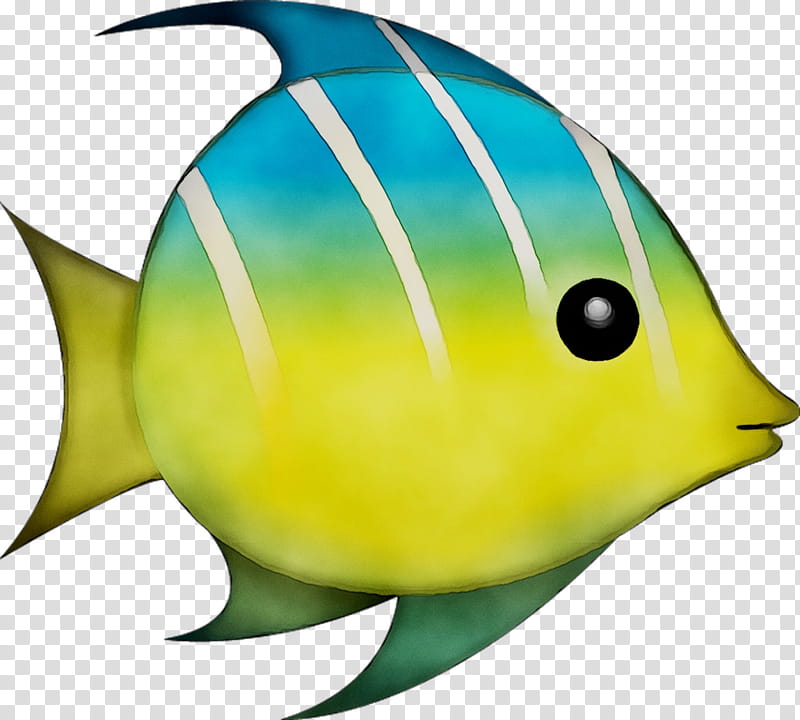 Coral Reef, Biology, Beak, Fish, Yellow, Pomacanthidae, Butterflyfish, Pomacentridae transparent background PNG clipart