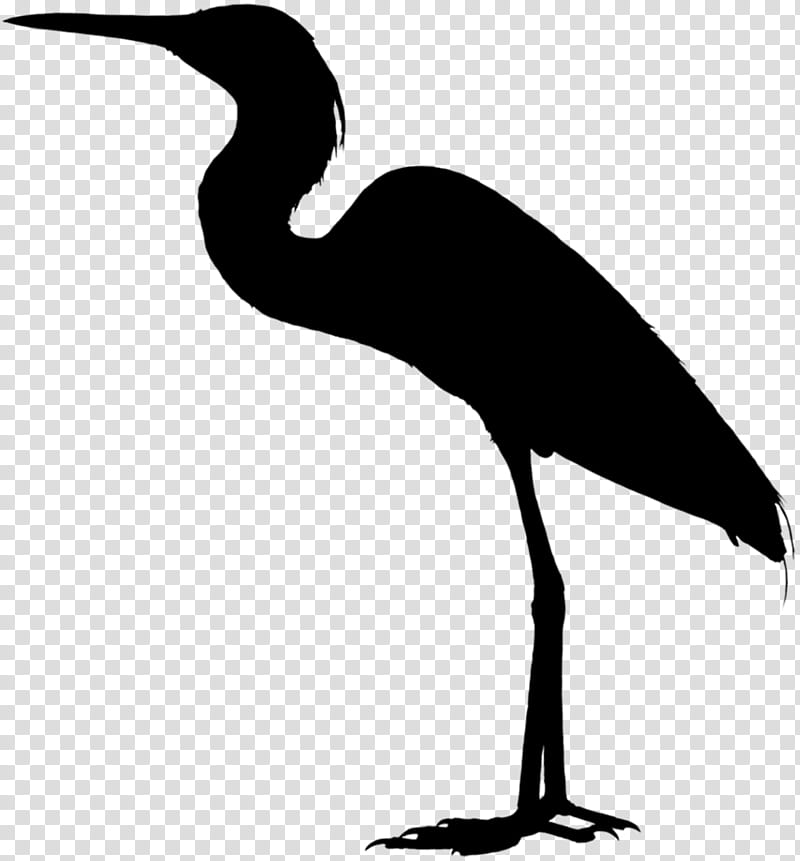Crane Bird, Heron, Ibis, Stork, Water Bird, Beak, Egret, Animal transparent background PNG clipart