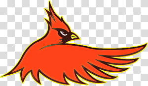 bird beak transparent background PNG clipart thumbnail