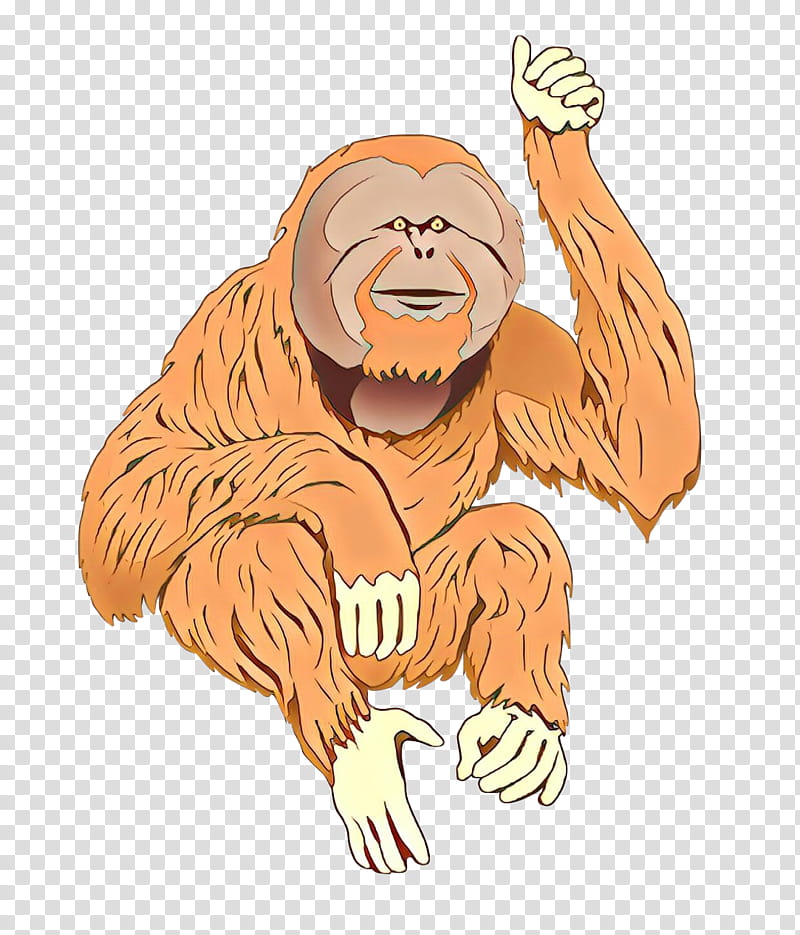 Monkey, Bornean Orangutan, Ape, Sumatran Orangutan, Chimpanzee, Western Gorilla, Cartoon, Borneo Orangutan Survival transparent background PNG clipart
