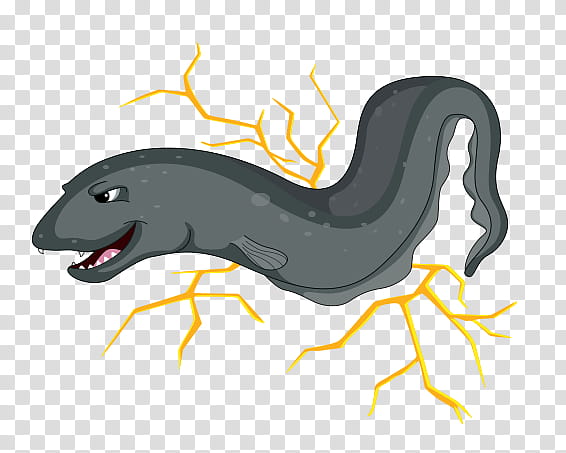 Fish, Electric Eel, Reptile, Snakes, Electricity, Animal, Batoids, Material transparent background PNG clipart