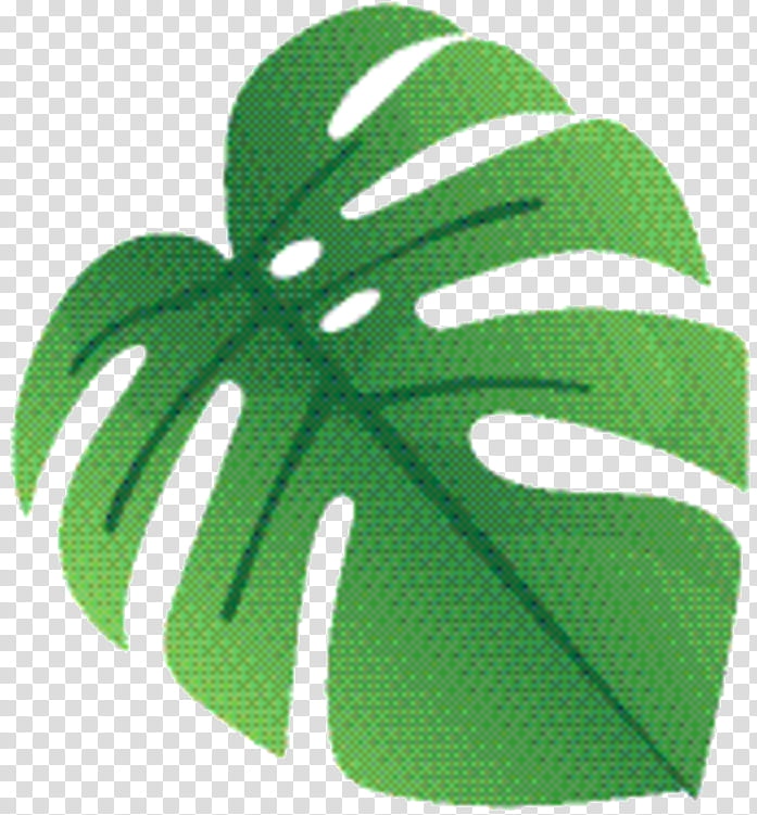 Green Leaf, Monstera Deliciosa, Plant transparent background PNG clipart