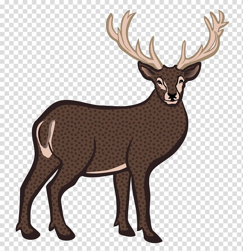 Forest, Deer, Whitetailed Deer, Moose, Red Deer, Reindeer, Elk, Antler transparent background PNG clipart