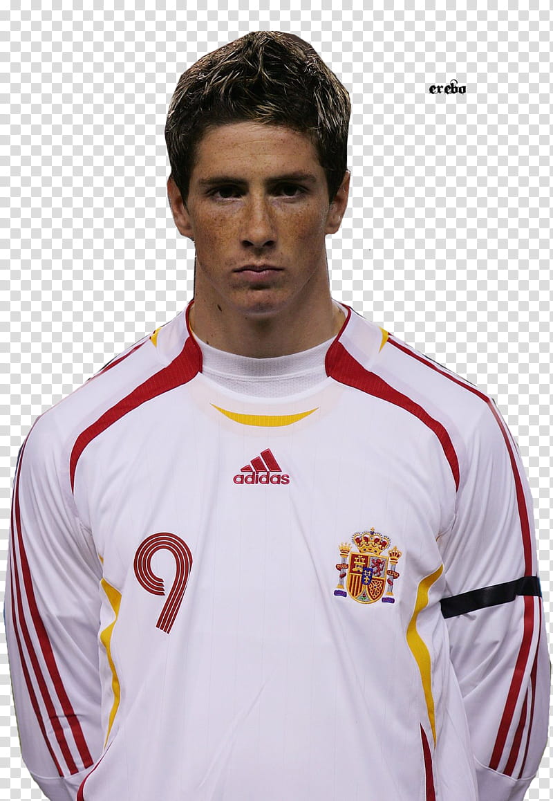 Fernando Torres transparent background PNG clipart