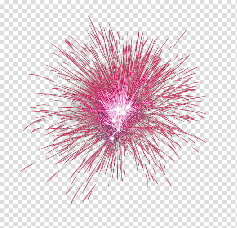 Chinese New Year Poster, Fireworks, Explosion, Purple, Pyrotechnics, Pink, Line, Event transparent background PNG clipart