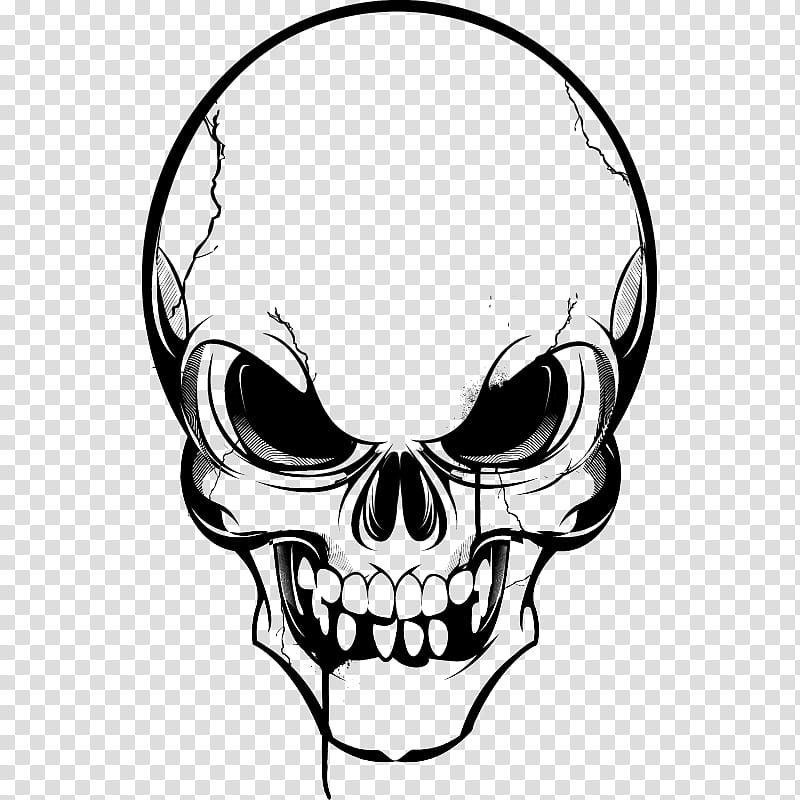 Skeleton face hand drawn Royalty Free Vector Image