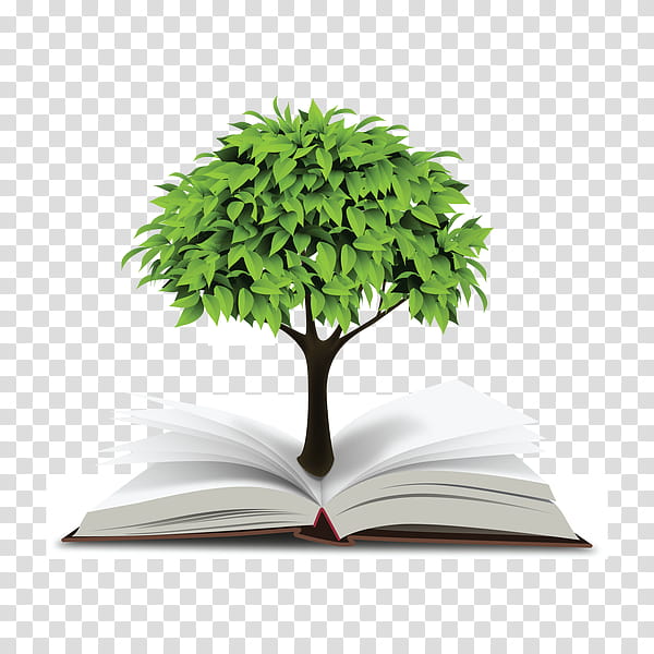 Tree Leaf, Gyeonggi Province, Learning, Plant, Flowerpot, Grass, Houseplant transparent background PNG clipart