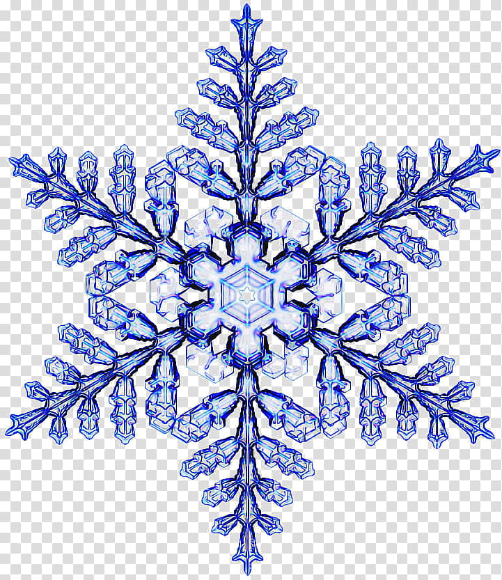 Christmas decoration, Colorado Spruce, Snowflake, Oregon Pine, Cobalt Blue, Symmetry, Tree, Plant transparent background PNG clipart