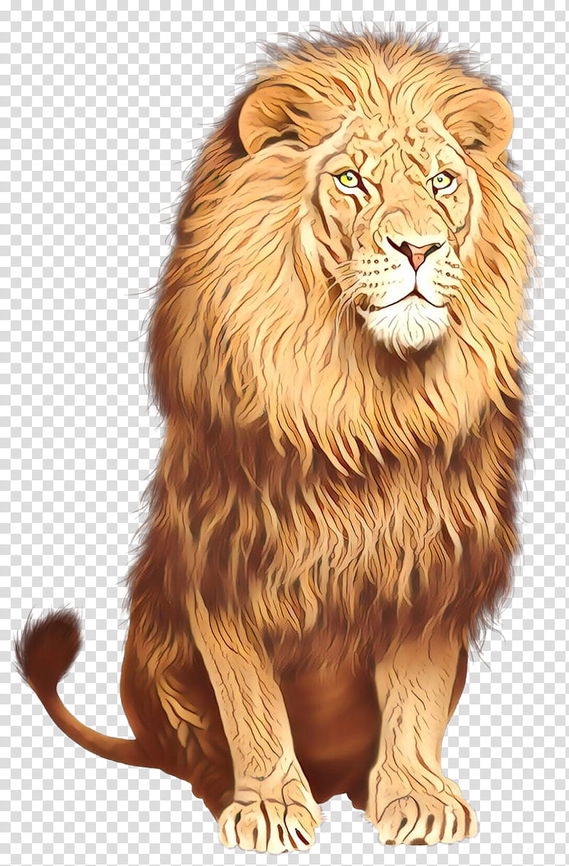 Cats, East African Lion, Leopard, Jaguar, Tiger, Roar, Lions Roar, Masai Lion transparent background PNG clipart