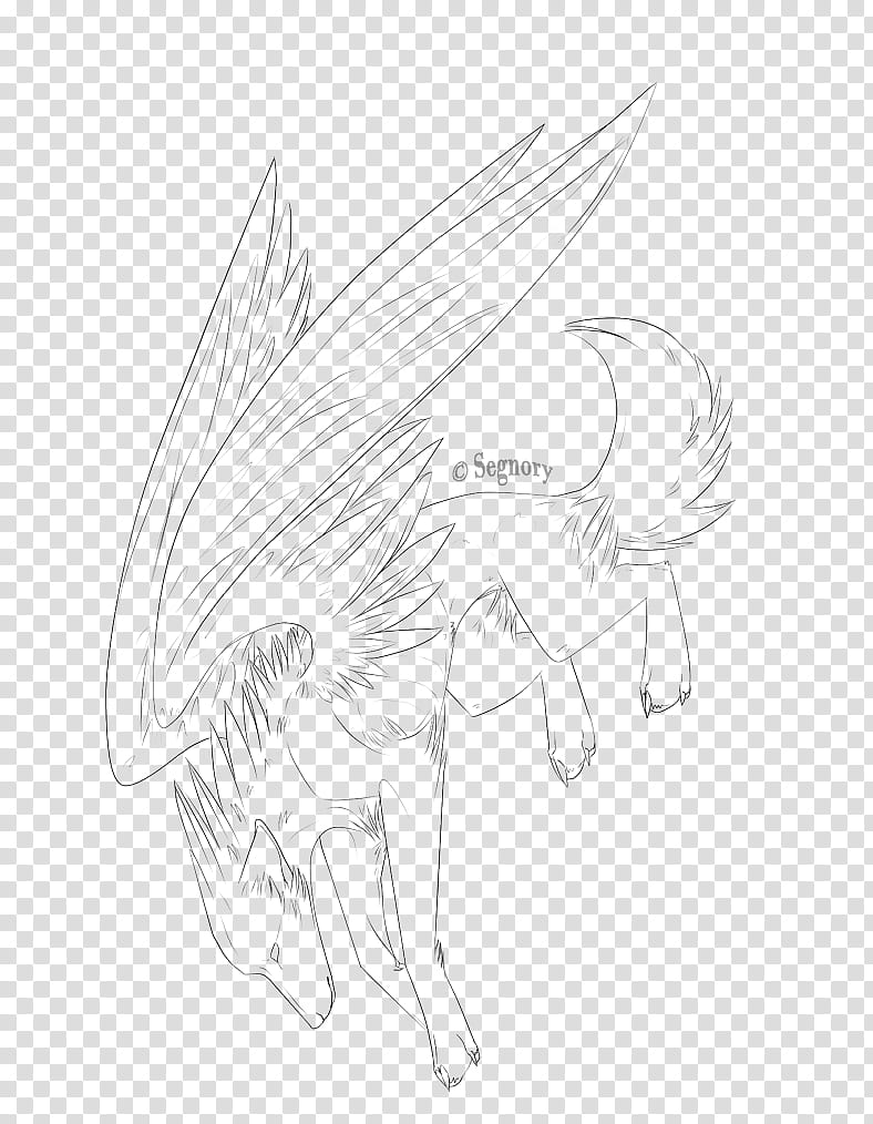 Dog Puppy Drawing Anime angel wings mammal animals png  PNGEgg