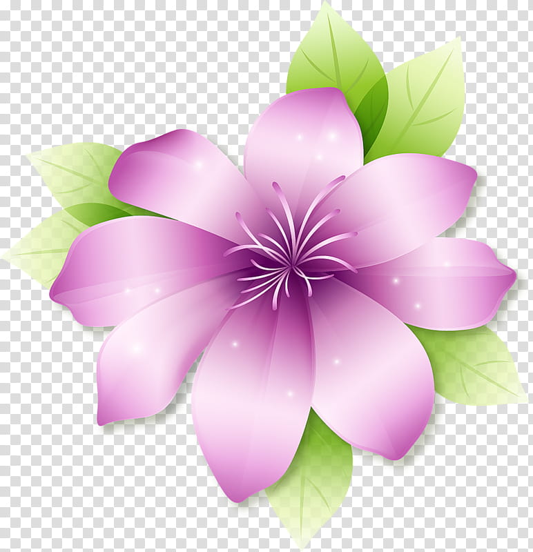 Flores, pink multi-petaled flower transparent background PNG clipart