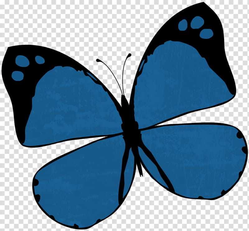 Smile Scrap Kit Freebie, blue and black butterfly illustration transparent background PNG clipart Smile Scrap Kit Freebie, blue and black butterfly illustration transparent background PNG clipart