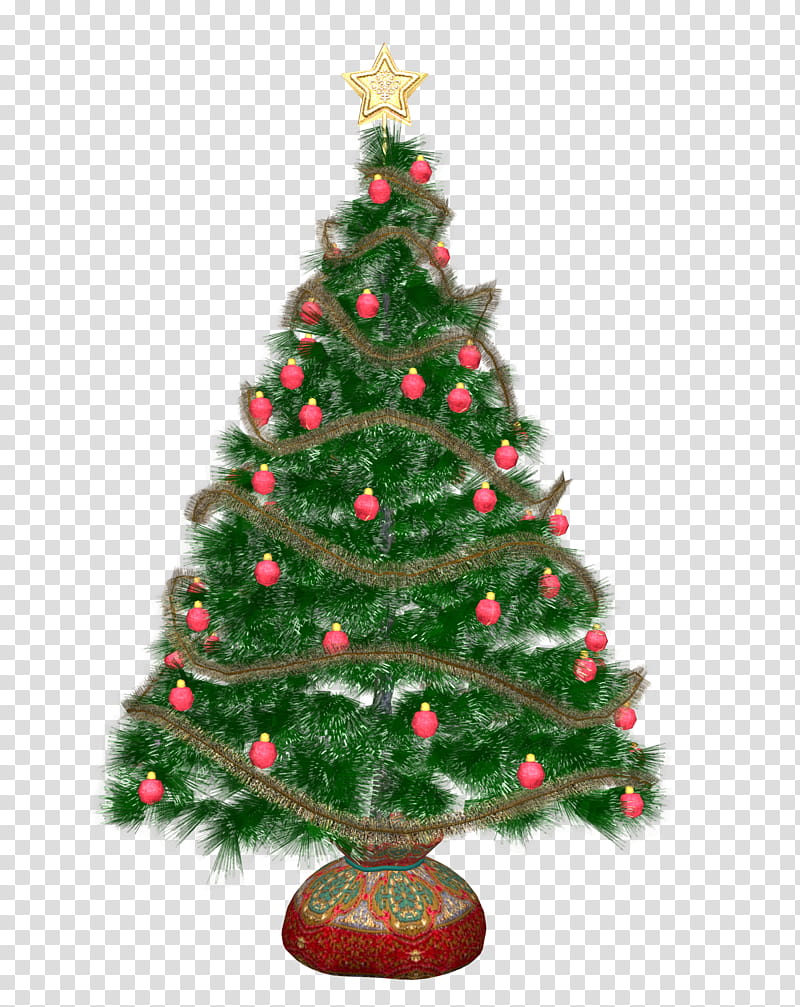 D Xmas Trees, green Christmas tree transparent background PNG clipart