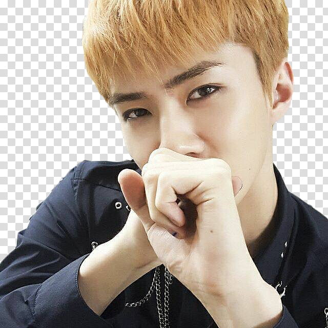 Sehun EXO Selcas transparent background PNG clipart