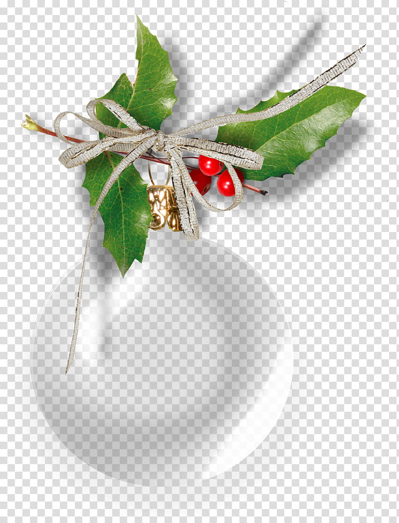 Cartoon Nature, Christmas Day, Blog, Love, Wilderness, Holly, Home Page, Nature transparent background PNG clipart