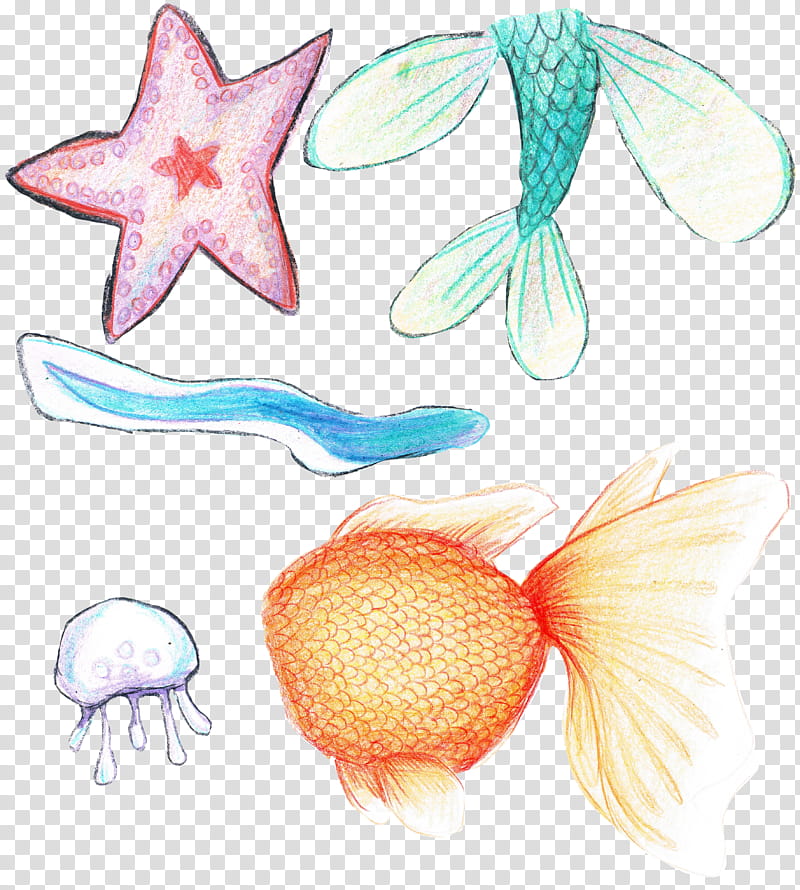 Naieve Seafood, five assorted sea creatures illustration transparent background PNG clipart