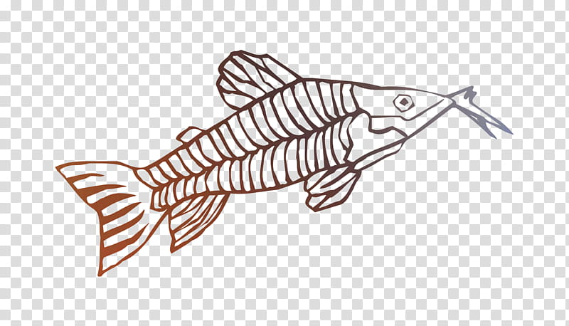 Fish, Line Art, Drawing, Angle, Plants, Design M Group, Fin, Marlin transparent background PNG clipart