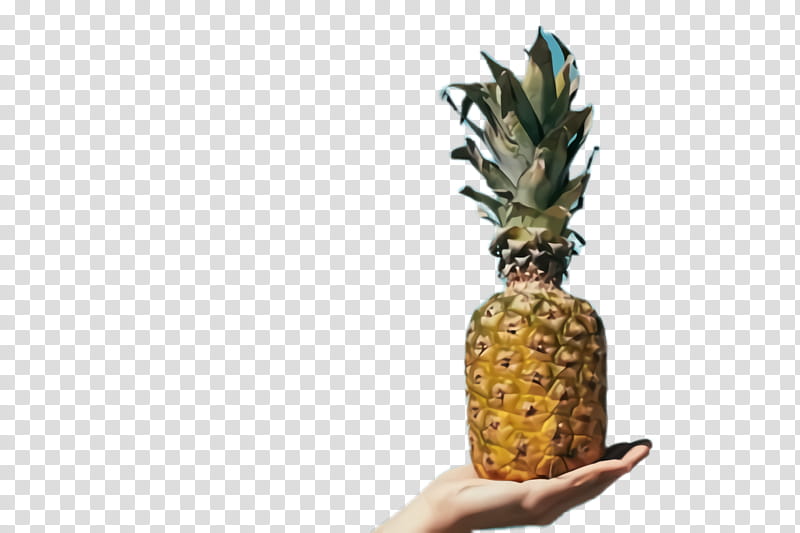 Pineapple, Ananas, Fruit, Plant, Food transparent background PNG clipart