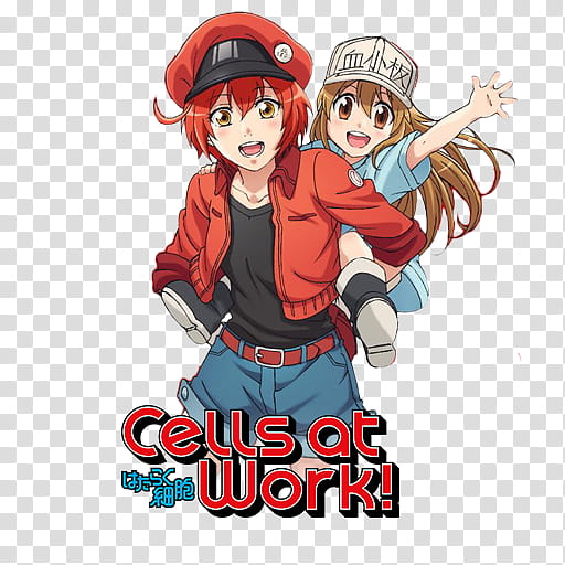 Hataraku Saibou Cells at Work Icon, Cell at Work, Cells at Work transparent background PNG clipart