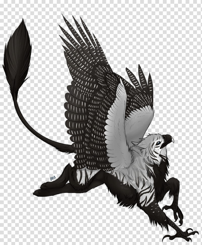 Look a Wild Gryphon! transparent background PNG clipart