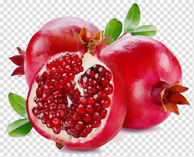 natural foods fruit pomegranate berry food, Watercolor, Paint, Wet Ink, Superfood, Plant, Accessory Fruit, Frutti Di Bosco transparent background PNG clipart
