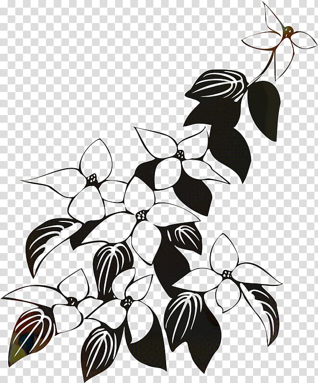 Flower Line Art, Flowering Dogwood, Drawing, Kousa Dogwood, Branch, Plant, Leaf, Blackandwhite transparent background PNG clipart