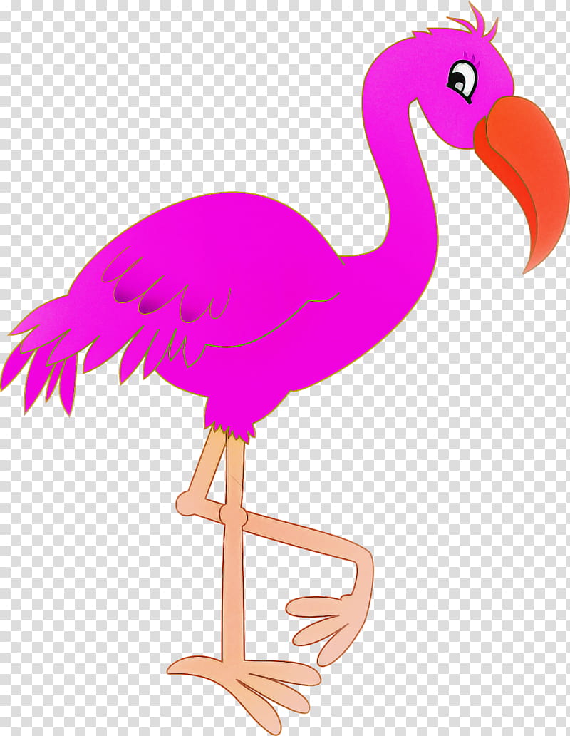 Flamingo, Bird, Greater Flamingo, Beak, Pink, Flightless Bird, Water Bird transparent background PNG clipart