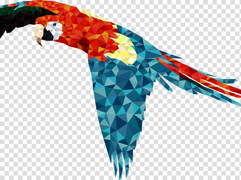 Bird Parrot, Macaw, Scarlet Macaw, Blueandyellow Macaw, Hyacinth Macaw, Beak, Parakeet, Drawing transparent background PNG clipart