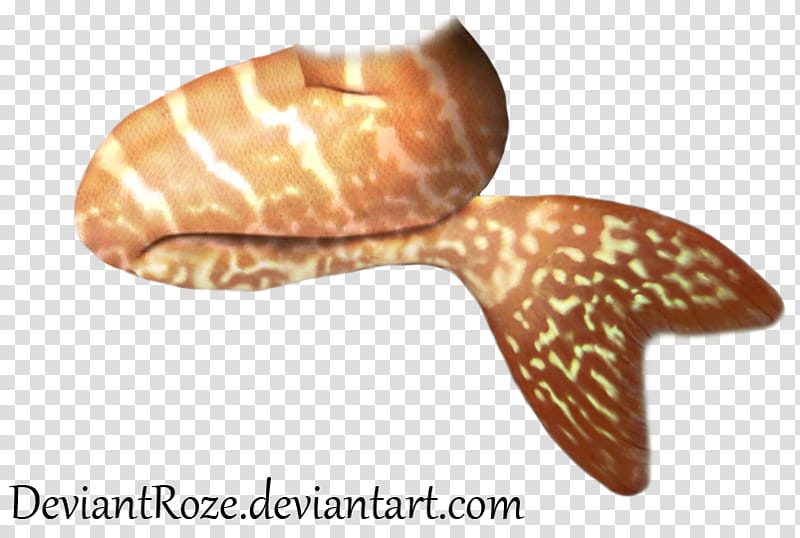 Mermaid Tail  Tiger, brown mermaid tail art transparent background PNG clipart