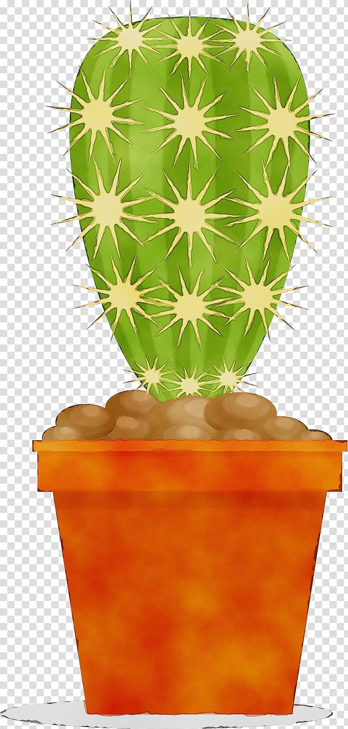 Watercolor Flower, Paint, Wet Ink, Echinocereus, Flowerpot, Cactus, Green, Houseplant transparent background PNG clipart