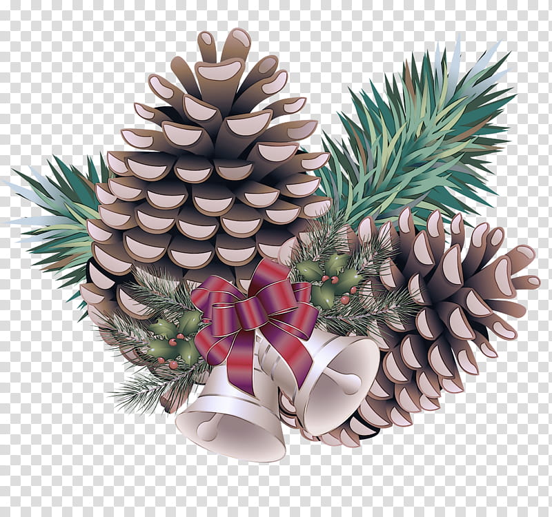 Pineapple, Sugar Pine, Oregon Pine, Colorado Spruce, Yellow Fir, Conifer Cone, Sitka Spruce, Red Pine transparent background PNG clipart