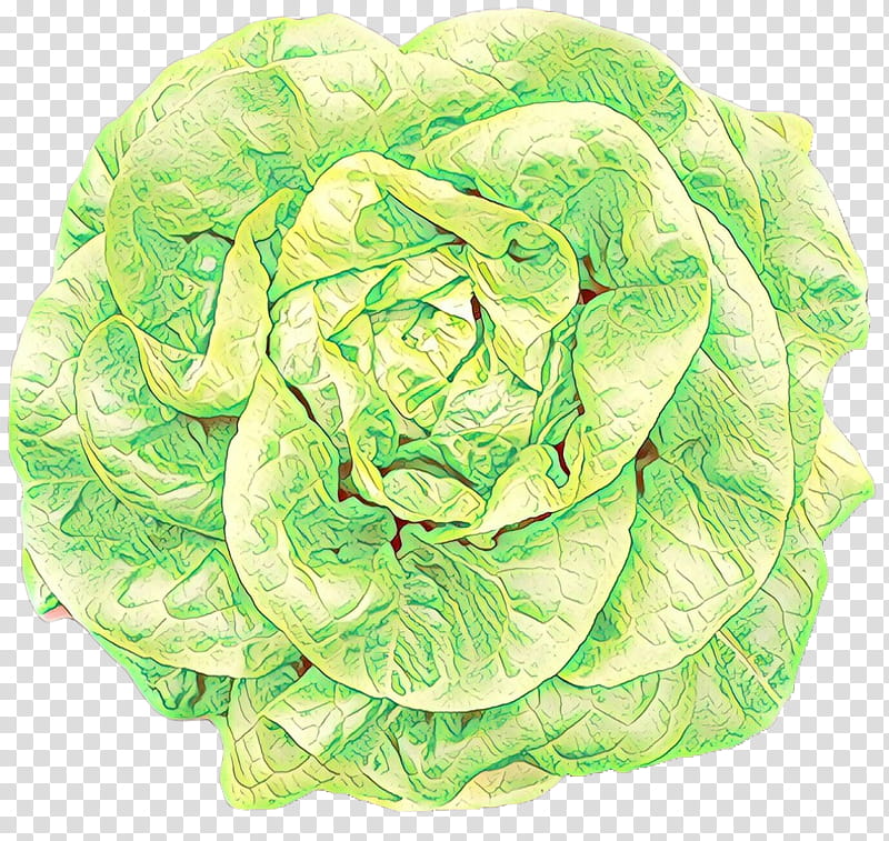 cabbage leaf vegetable lettuce iceburg lettuce flower, Cartoon, Wild Cabbage, Plant, Cruciferous Vegetables transparent background PNG clipart
