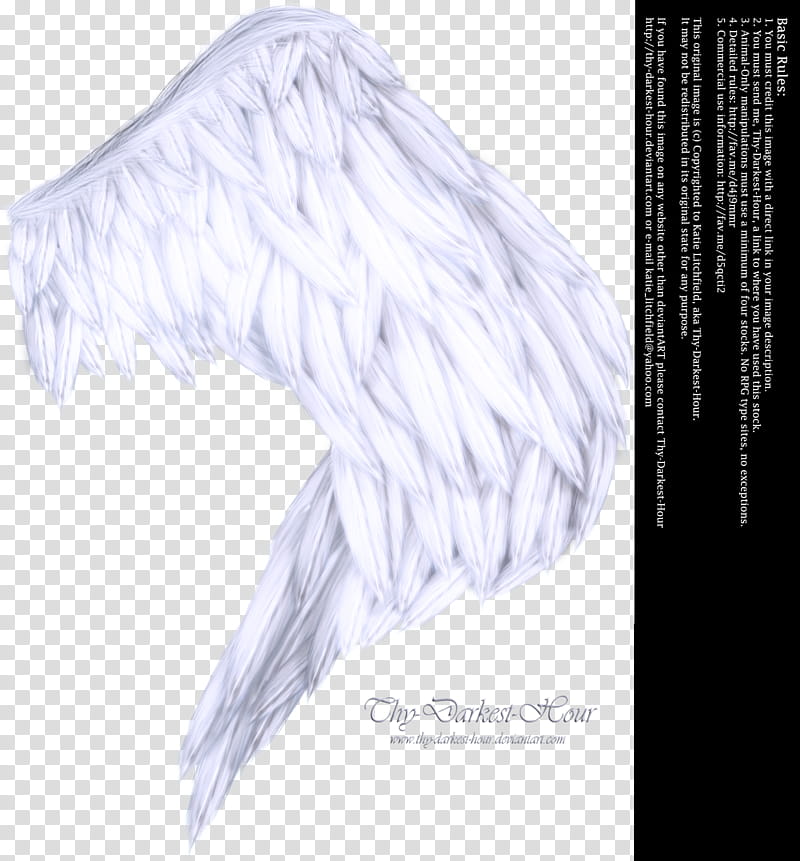 Wings of Fancy White, white wing illustration transparent background PNG clipart