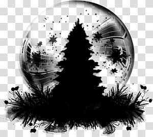Tree, Computer, Sphere, Plant, Blackandwhite transparent background PNG clipart thumbnail