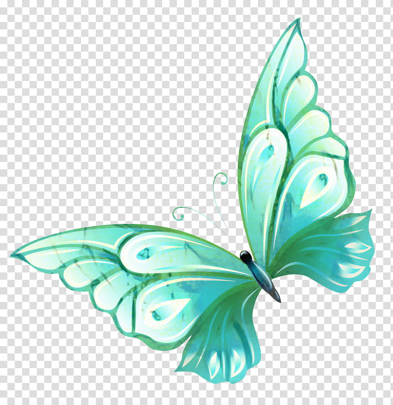Green Leaf, M Butterfly, Turquoise, Moths And Butterflies, Insect, Wing, Plant, Pollinator transparent background PNG clipart