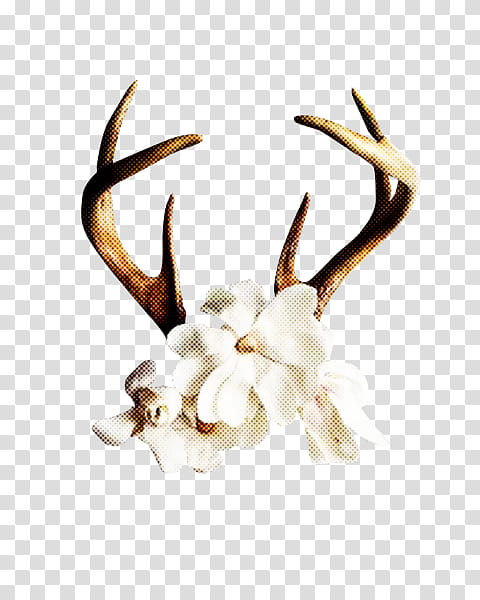 horn antler white head deer, Natural Material transparent background PNG clipart