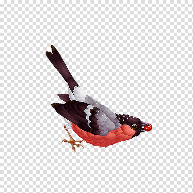 Christmas Card, Bird, Eurasian Bullfinch, Christmas , Beak, Perching Bird, Wren transparent background PNG clipart
