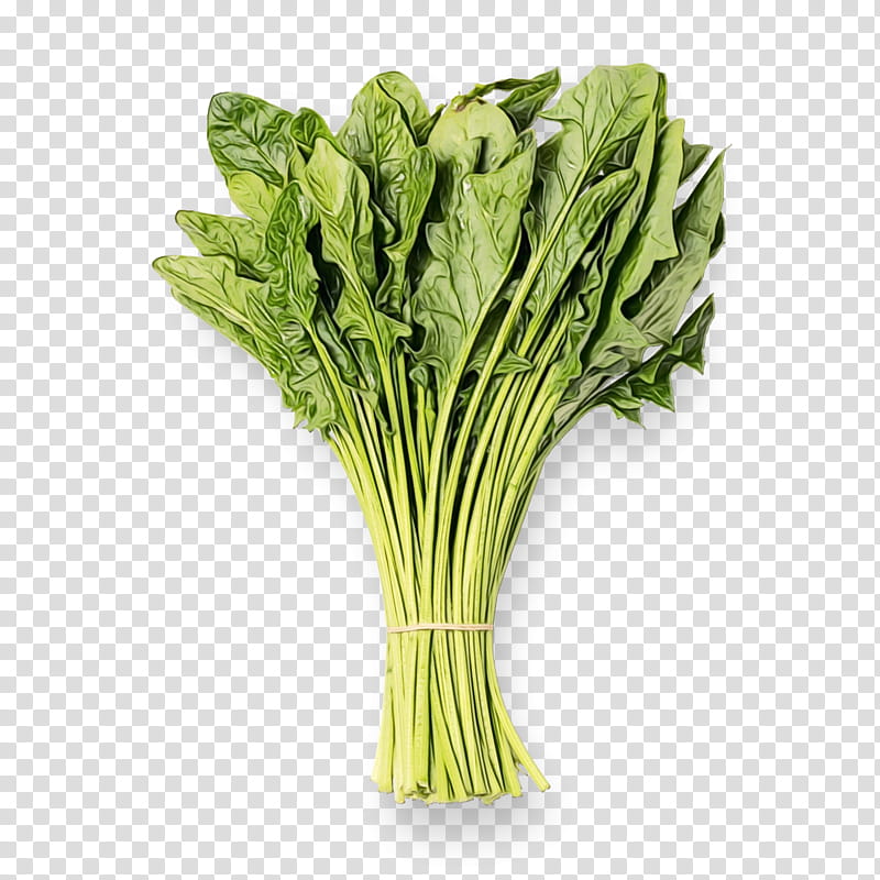 Vegetables, Chard, Spinach, Collard, Spring Greens, Vegetarian Cuisine, Komatsuna, Food transparent background PNG clipart