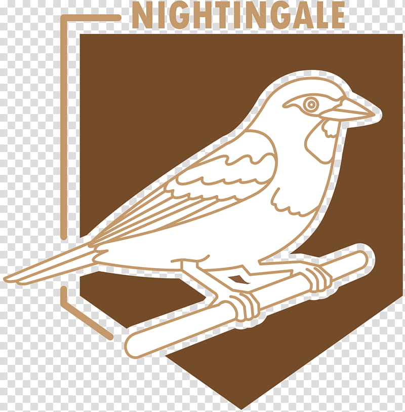Bird Logo, Beak, Line, Design M Group, Coloring Book, Finch, Perching Bird, Songbird transparent background PNG clipart