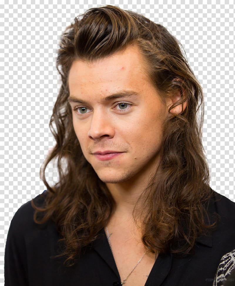 Harry Styles, Harry Styles transparent background PNG clipart