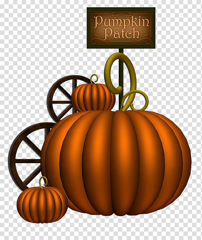 Pumpkins III, Pumpkin Patch transparent background PNG clipart