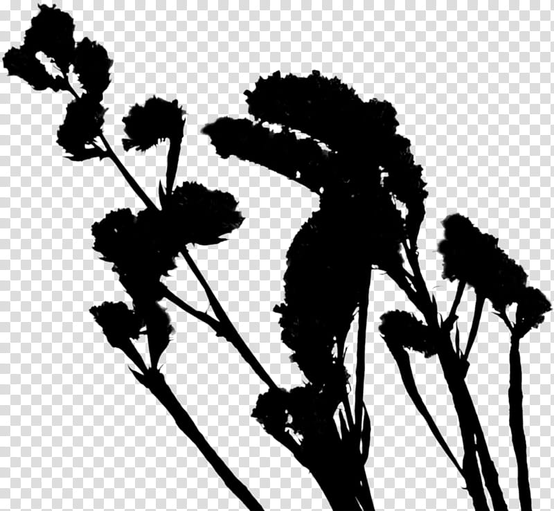 Flower Silhouette, Plants, Blackandwhite, Plant Stem, Wildflower, Heracleum Plant transparent background PNG clipart