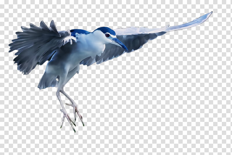 Feather, Watercolor, Paint, Wet Ink, Bird, Great Blue Heron, Beak, Cranelike Bird transparent background PNG clipart